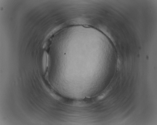 X0000081300109200702012319