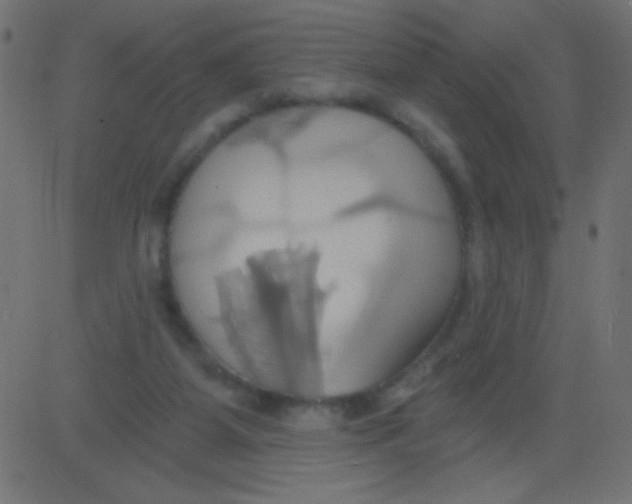 X0000081300115200702012319