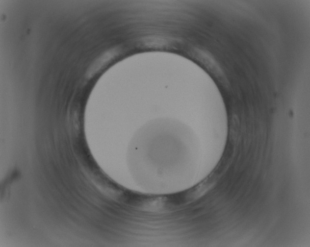 X0000081300116200702012319