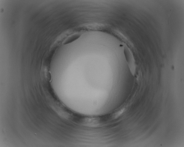 X0000081300117200702012319