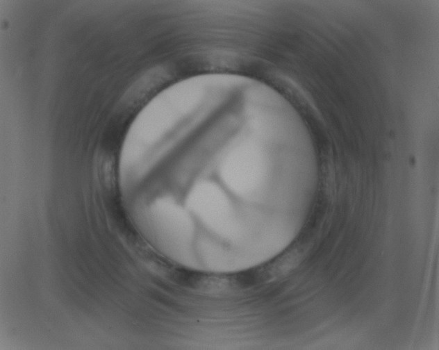 X0000081300123200702012319