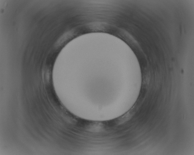 X0000081300124200702012319