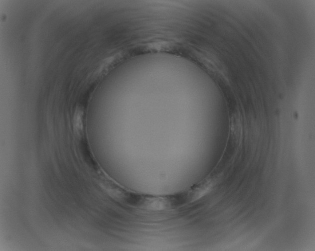 X0000081300127200702012319