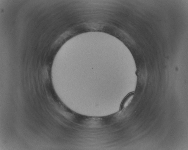 X0000081300128200702012319