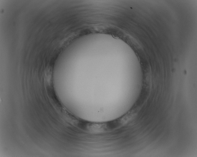 X0000081300129200702012319