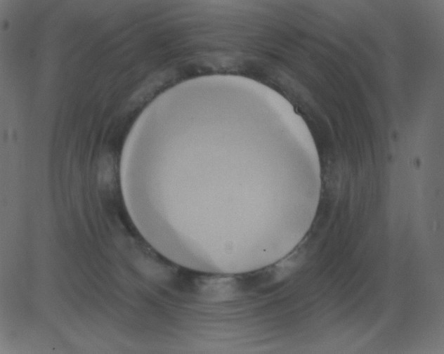 X0000081300132200702012319