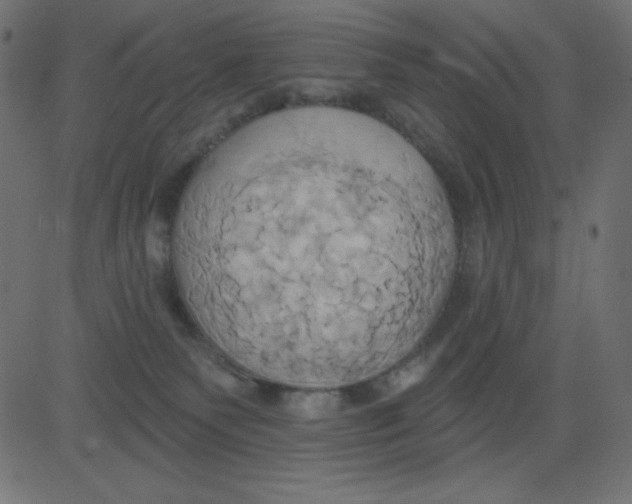 X0000081300135200702012319