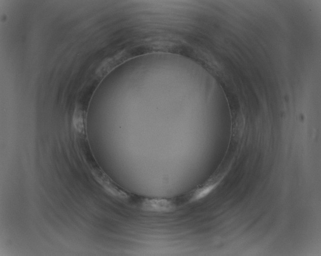 X0000081300137200702012319