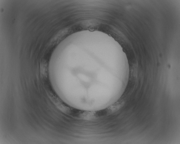 X0000081300138200702012319