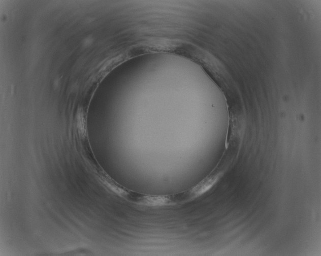 X0000081300143200702012319