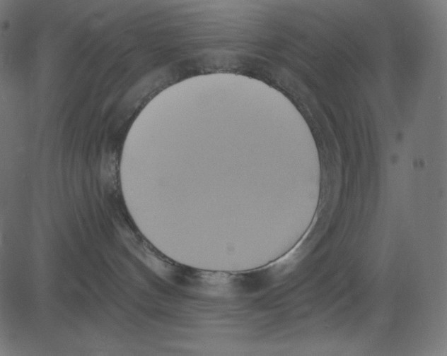 X0000081300144200702012318