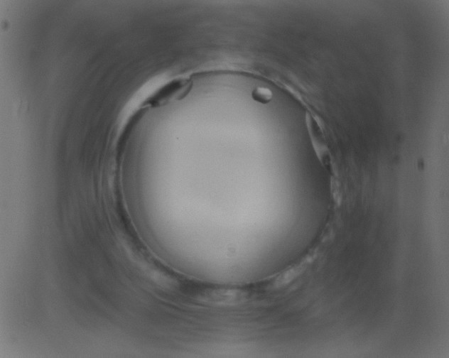 X0000081300152200702012318