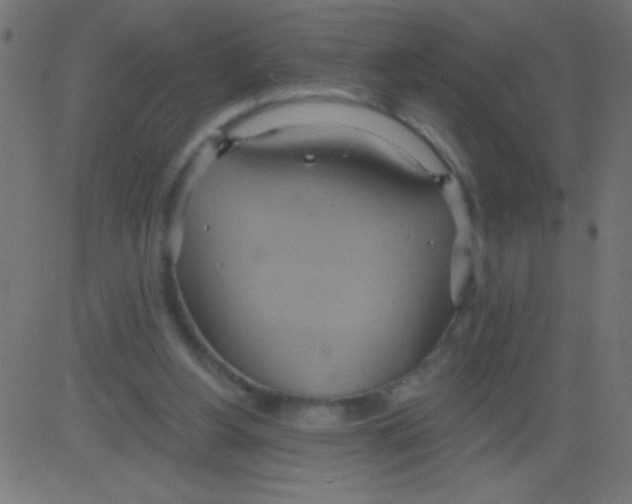 X0000081300156200702012318