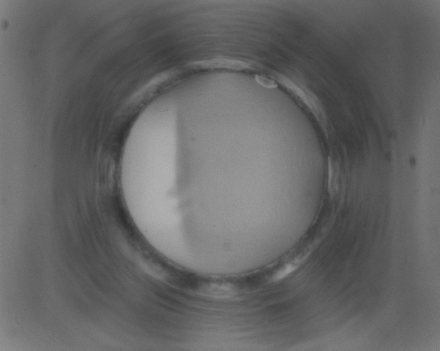 X0000081300157200702012318