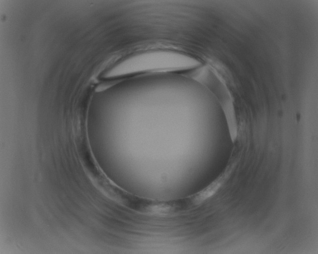 X0000081300158200702012318