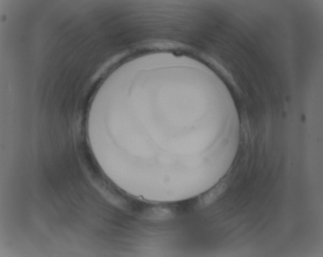 X0000081300159200702012318