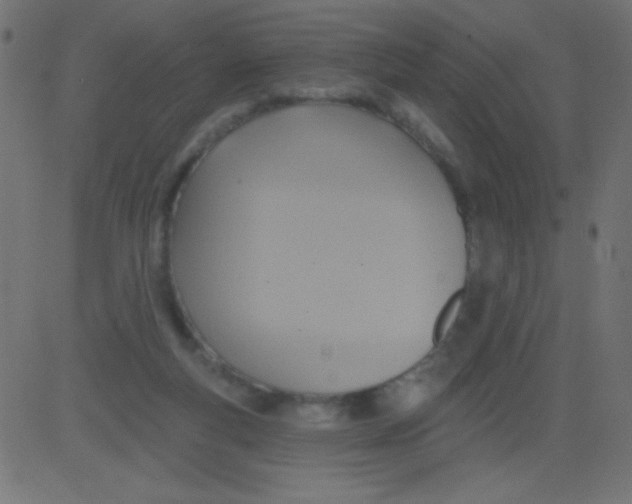 X0000081300163200702012318