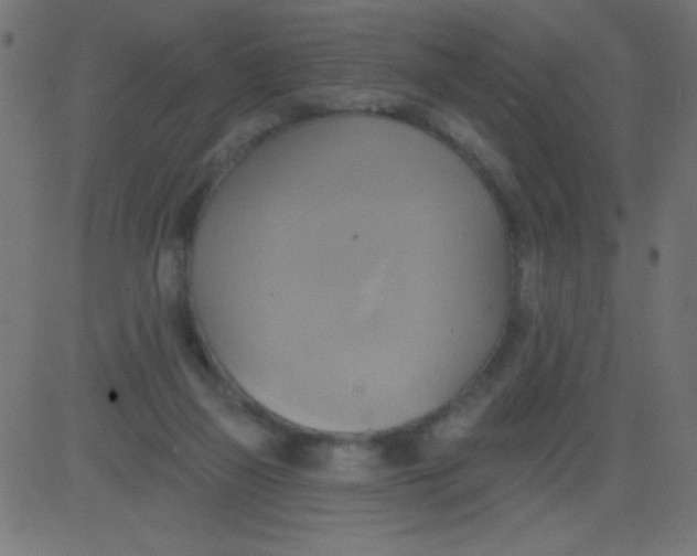 X0000081300165200702012318