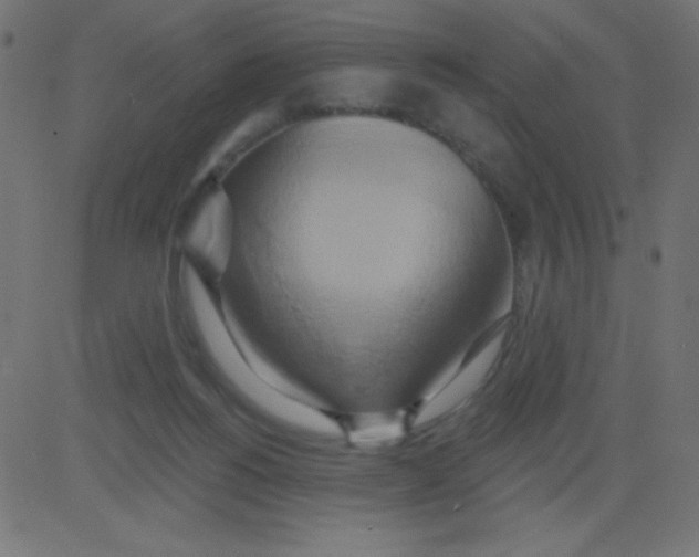 X0000081300168200702012318