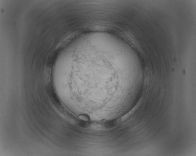 X0000081300171200702012318