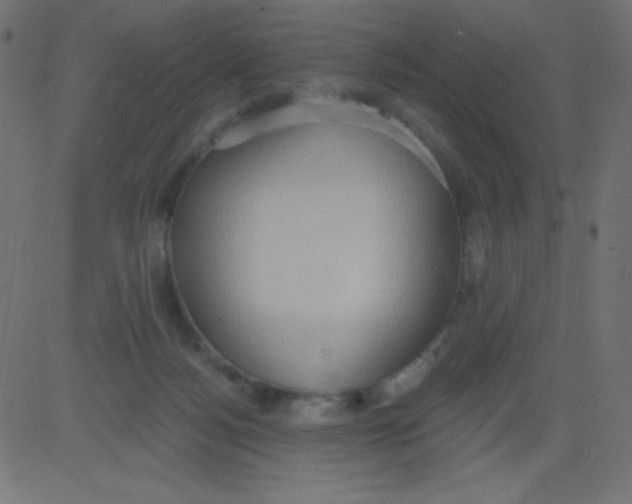 X0000081300172200702012318