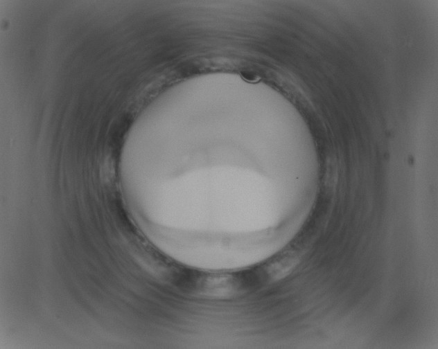 X0000081300173200702012318