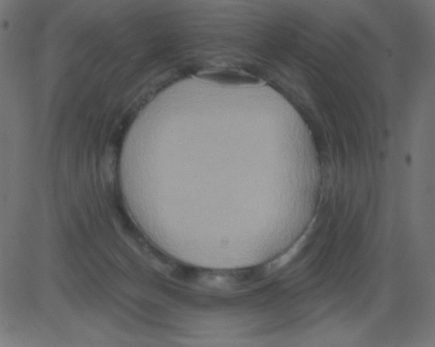 X0000081300174200702012318