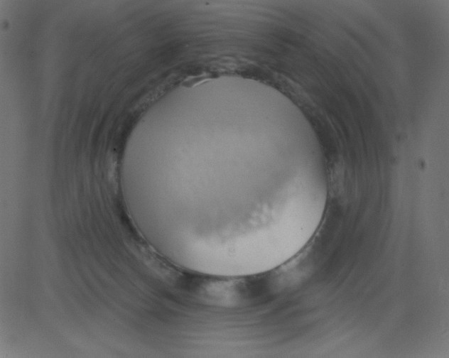 X0000081300178200702012318