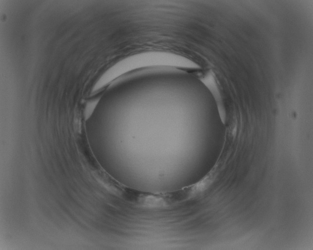 X0000081300180200702012318