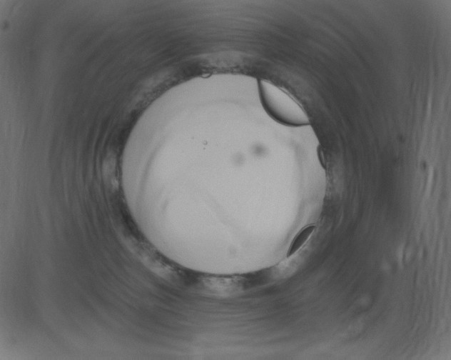 X0000081300187200702012318