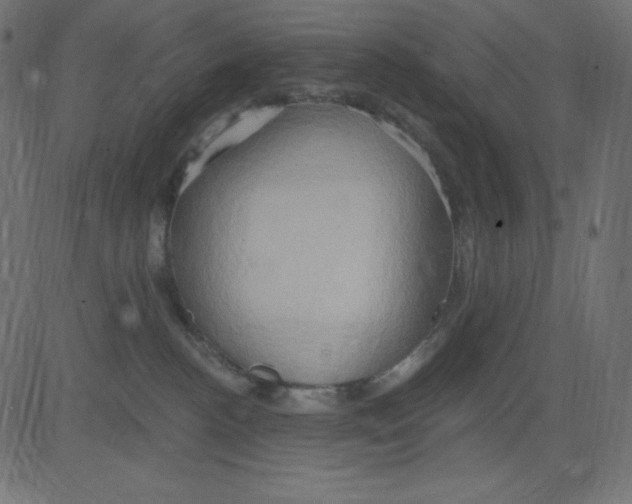 X0000081300188200702012318