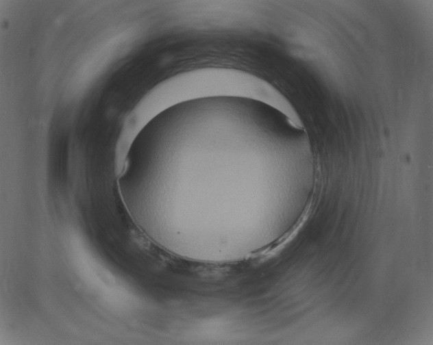 X0000081300191200702012318