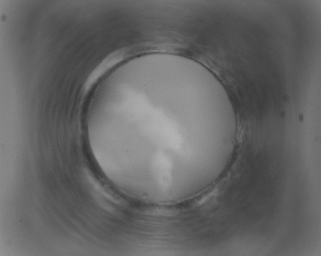 X0000081300198200702012318