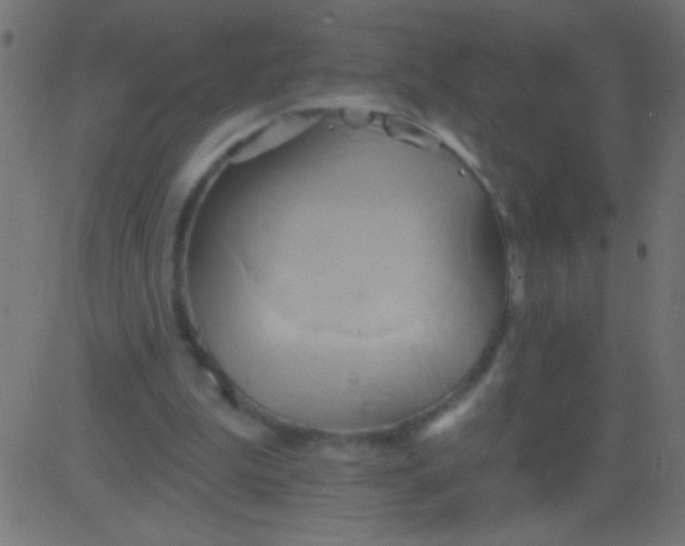 X0000081300199200702012318