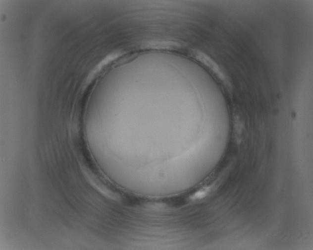 X0000081300203200702012318