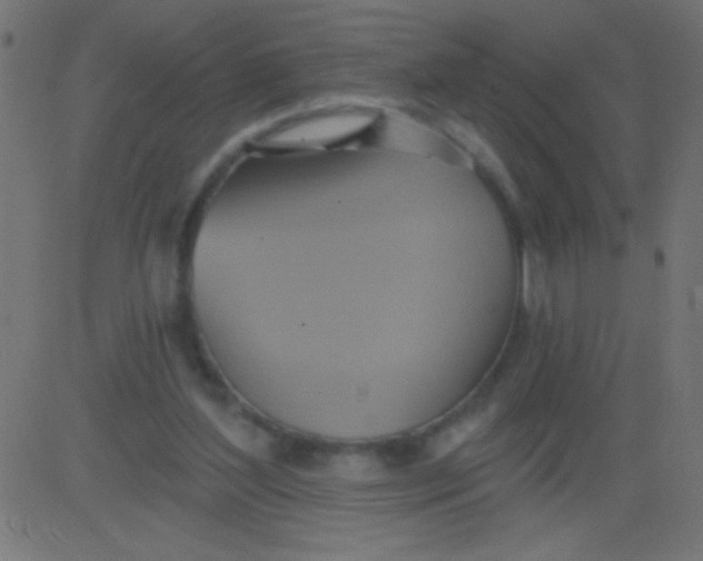 X0000081300204200702012318