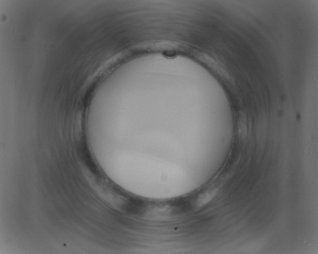 X0000081300206200702012317