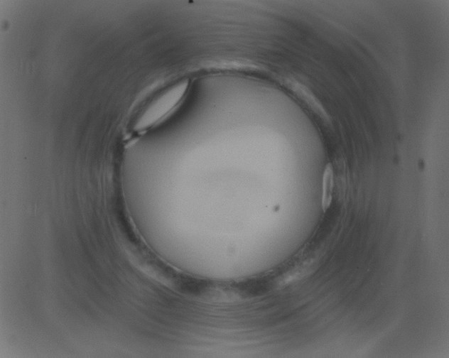 X0000081300207200702012317