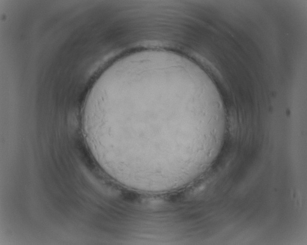 X0000081300208200702012317