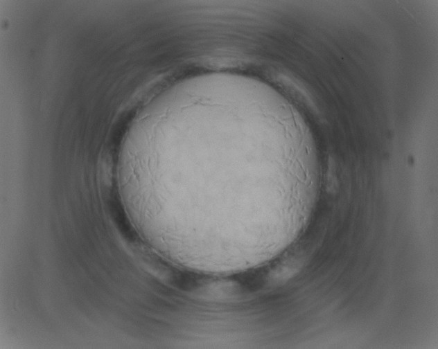 X0000081300210200702012317