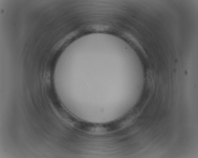 X0000081300212200702012317