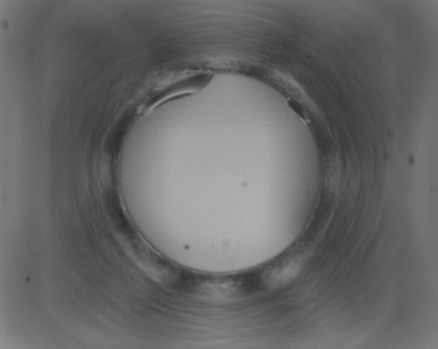 X0000081300213200702012317