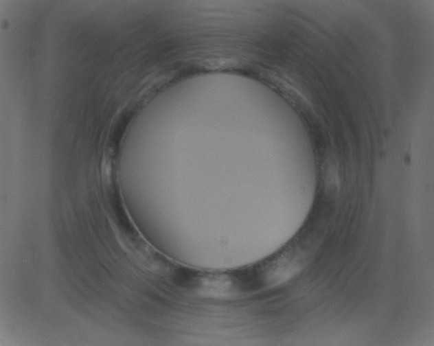 X0000081300214200702012317