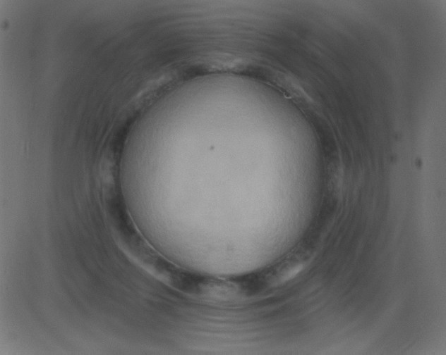 X0000081300215200702012317