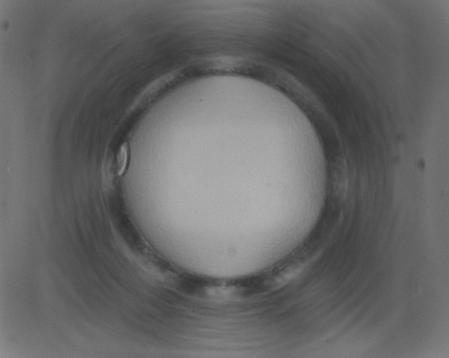 X0000081300216200702012317