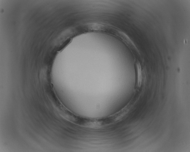 X0000081300217200702012317