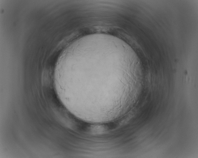 X0000081300218200702012317