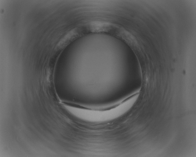 X0000081300219200702012317