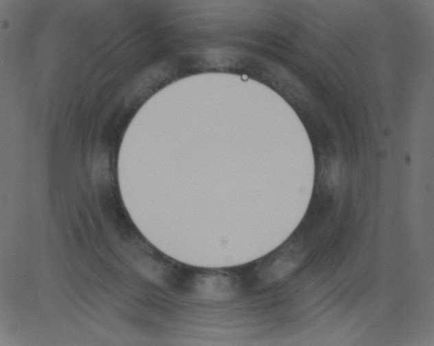 X0000081300220200702012317