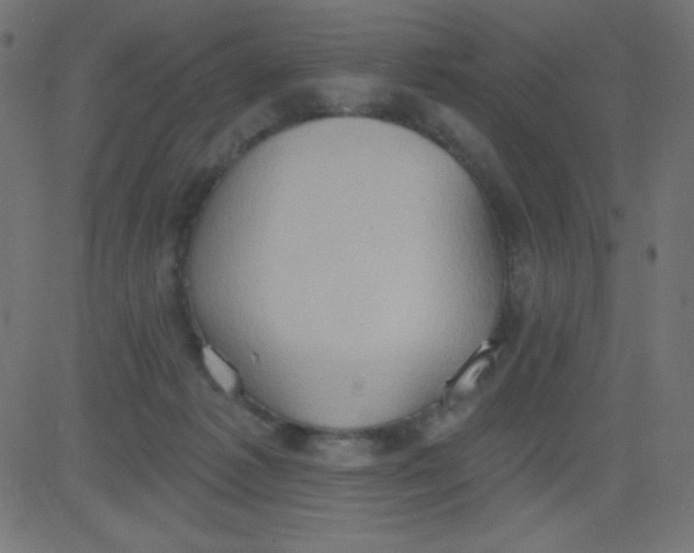 X0000081300221200702012317